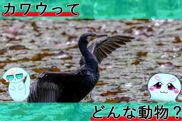 Thumbnail of post image 036